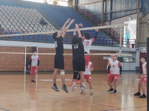 1741610183388_result